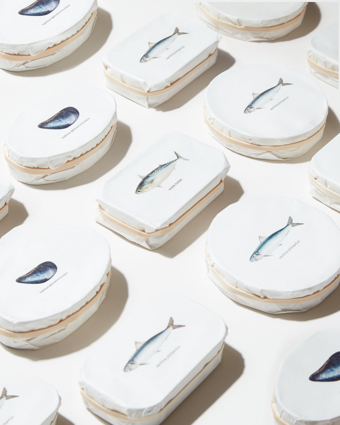 Variety Pack "Full Monty"